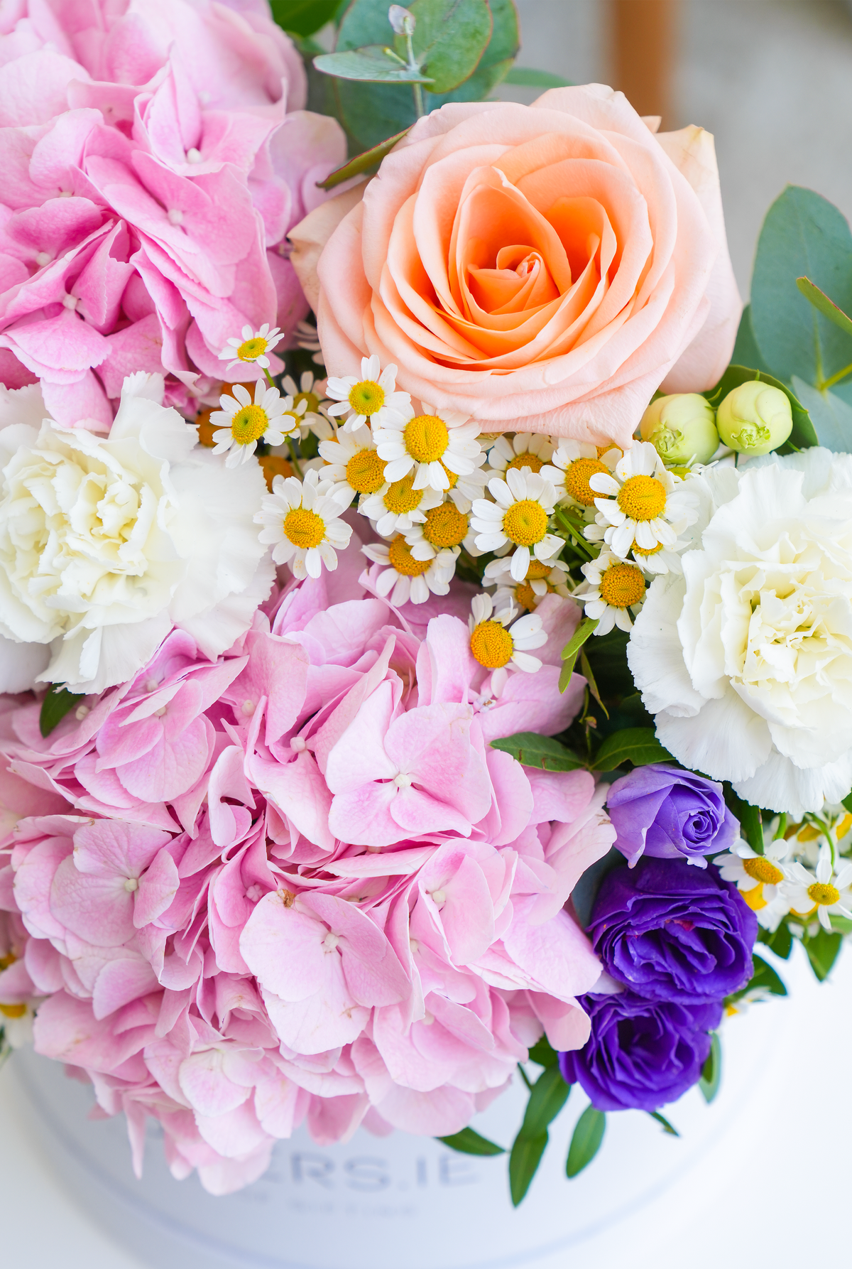 Blush Garden - Hatbox