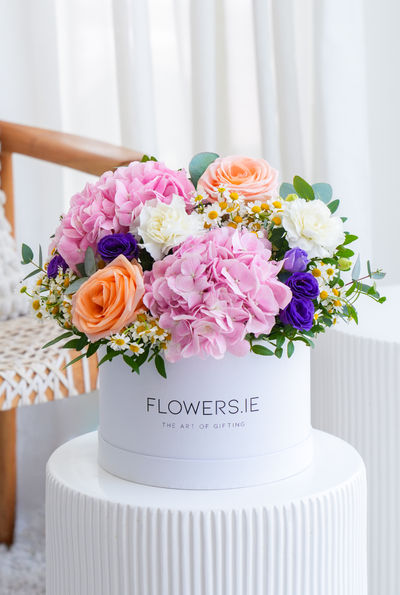 Blush Garden - Hatbox