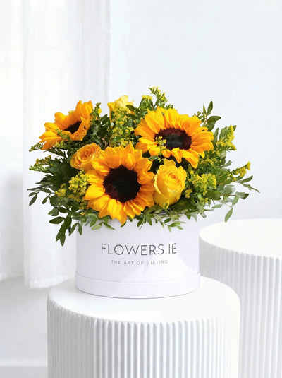 Sunflower - Hatbox