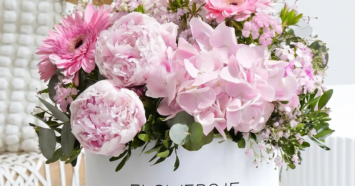Std Pretty Peony Pretty Pink - Hatbox | Flowers.ie
