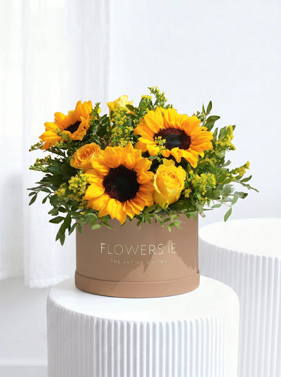 Sunflower - Hatbox