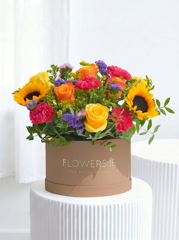 Vibrant - Hatbox