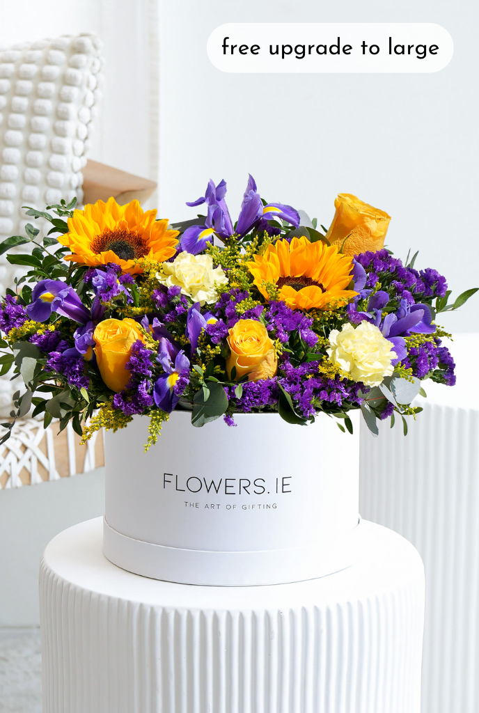 Lilac Dreams - Hatbox