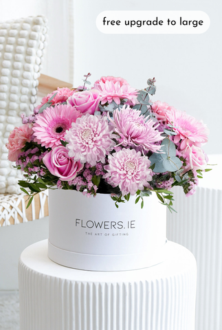 Pink Delight - Hatbox