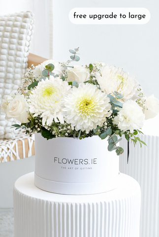 White Serenity - Hatbox