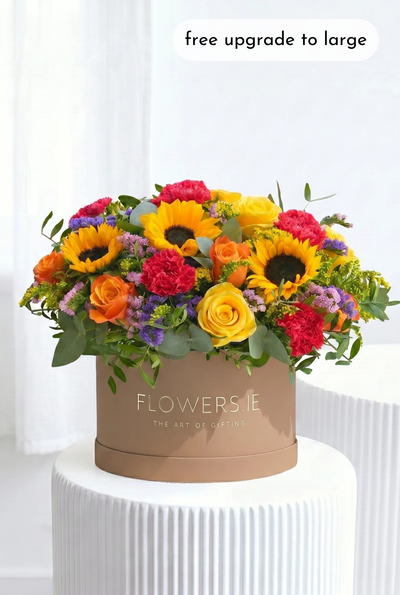 Vibrant - Hatbox