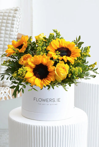 Sunflower - Hatbox