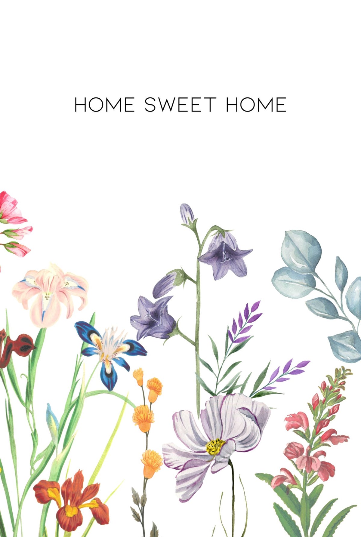 Special Offer Occasion Card