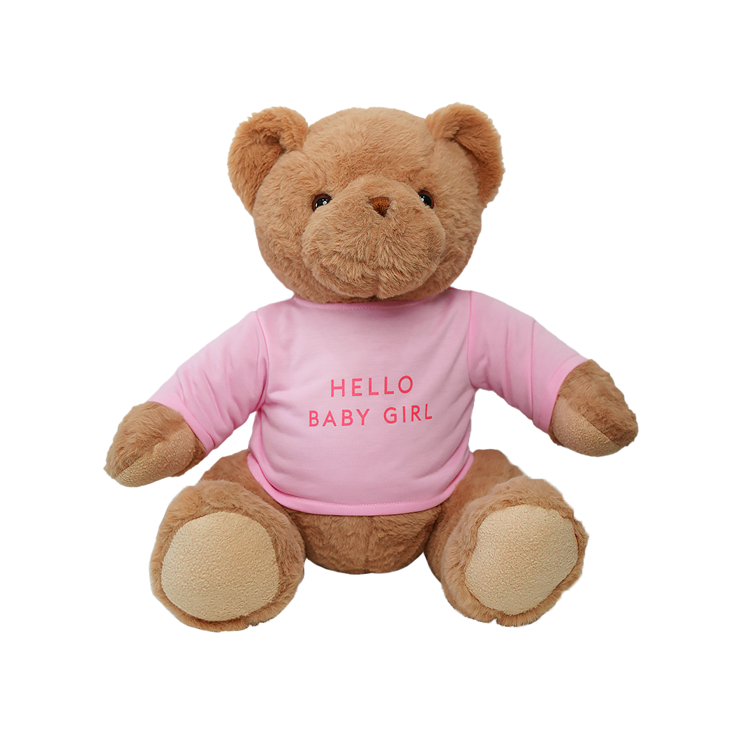 Hello Baby Girl Teddy