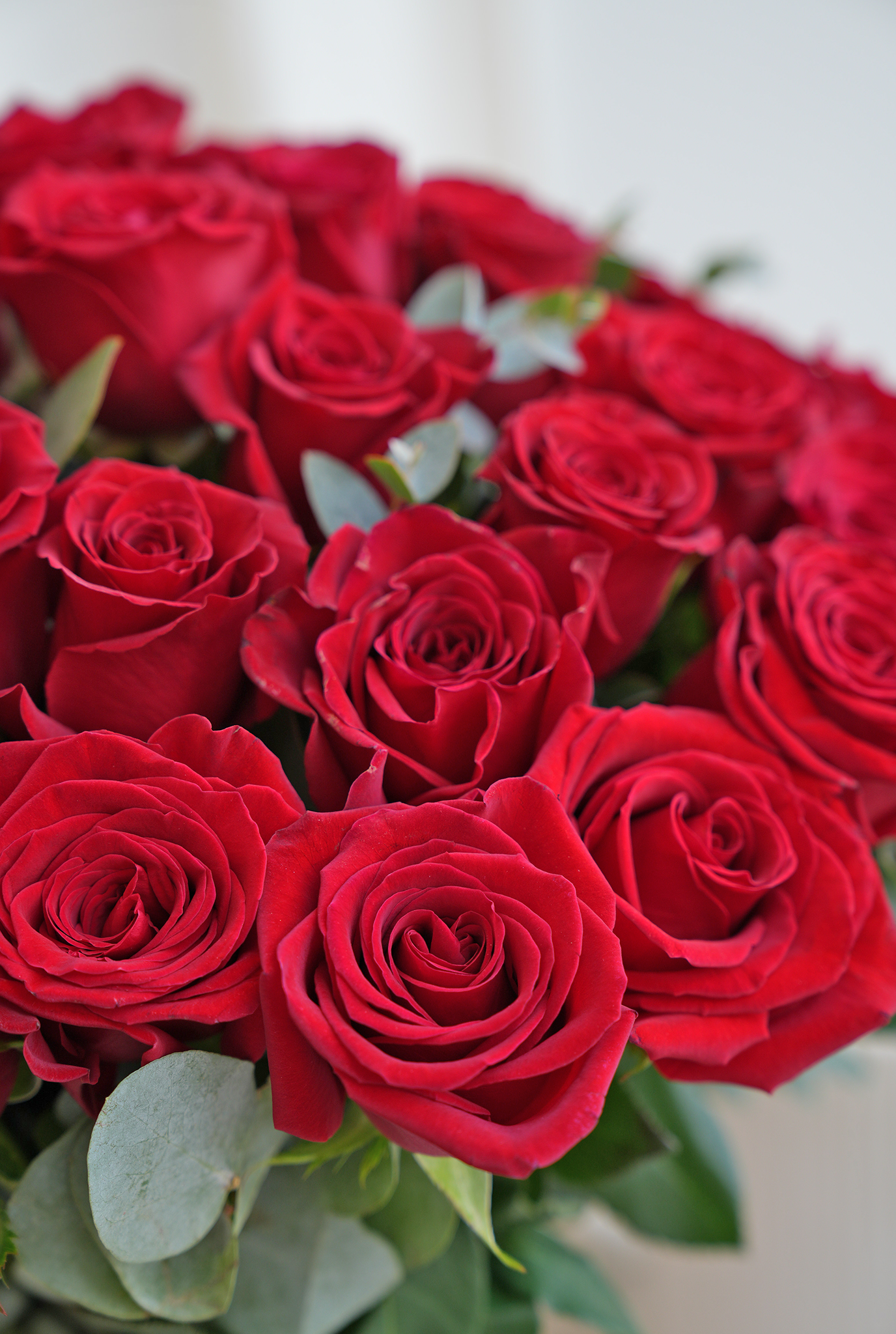 50nred Roses Valentine 50 Red Roses Supreme - Vase– Flowers.ie