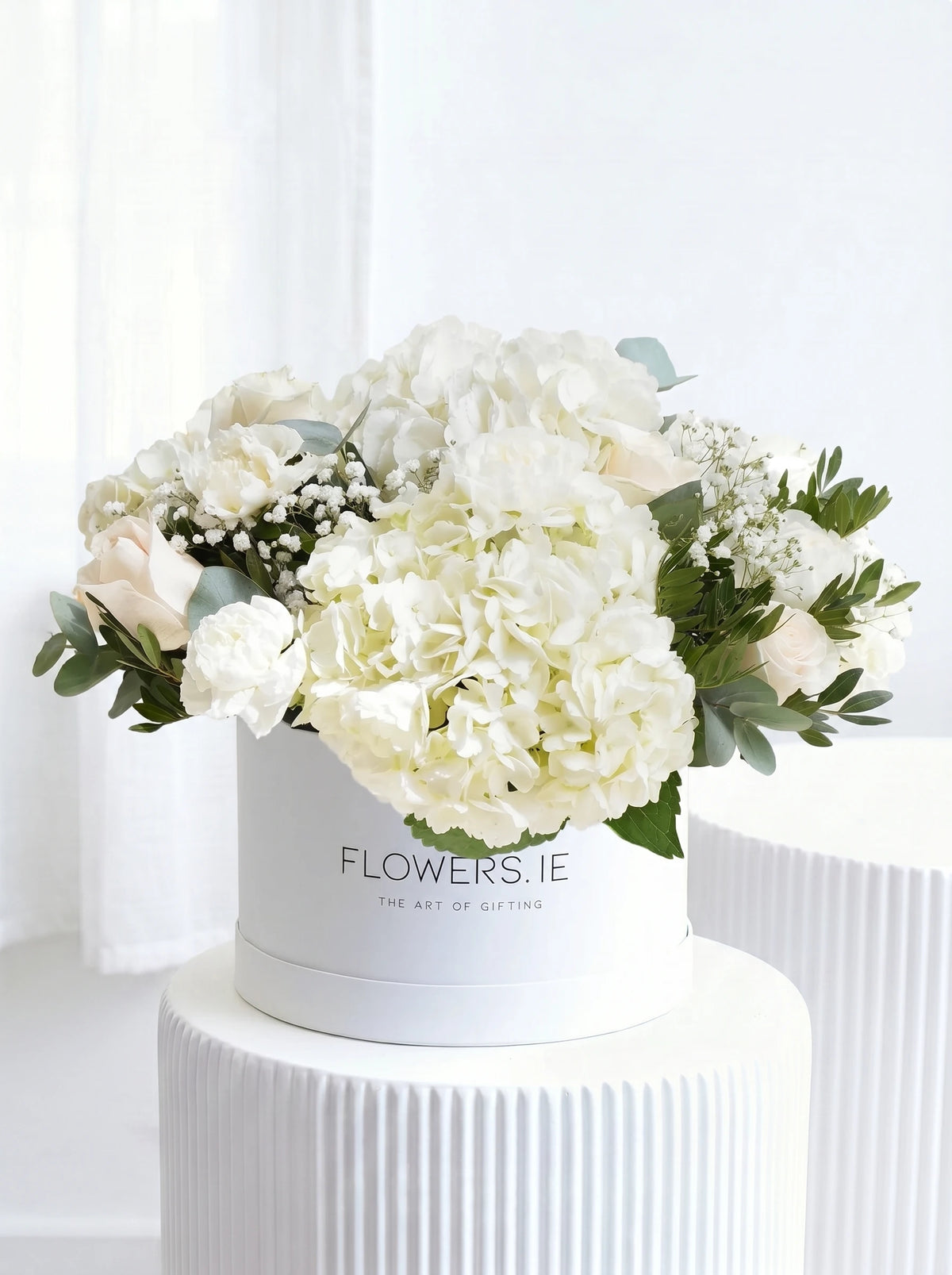 New Baby Perfect White - Hatbox