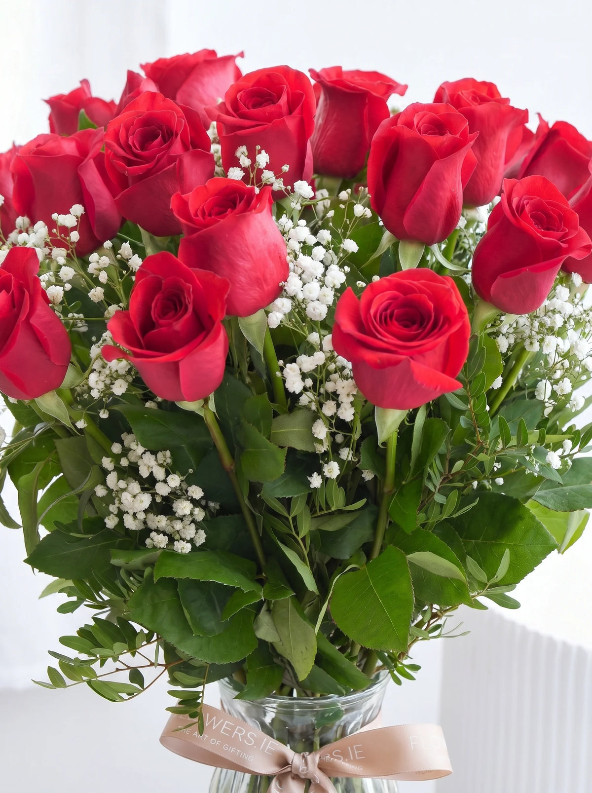 24 Long Stem Red Roses - Vase