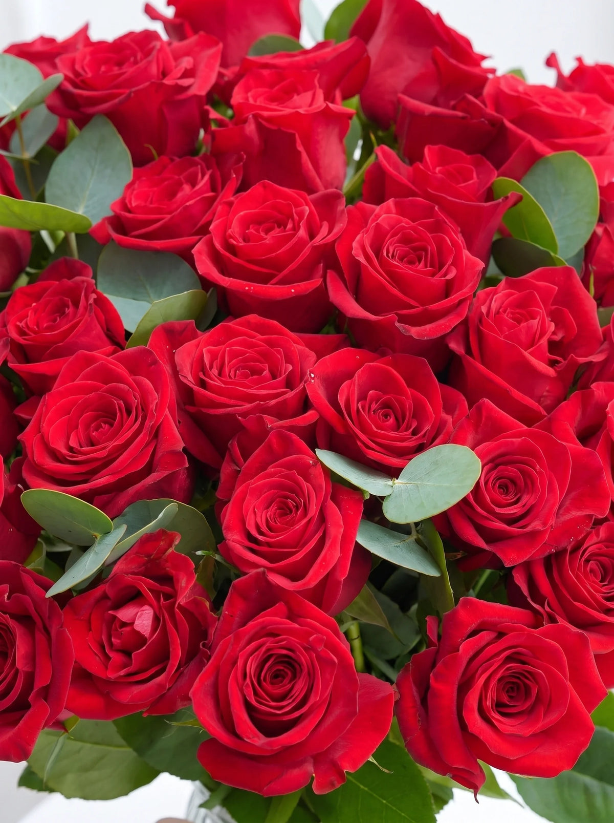 36 Long Stem Red Roses - Vase