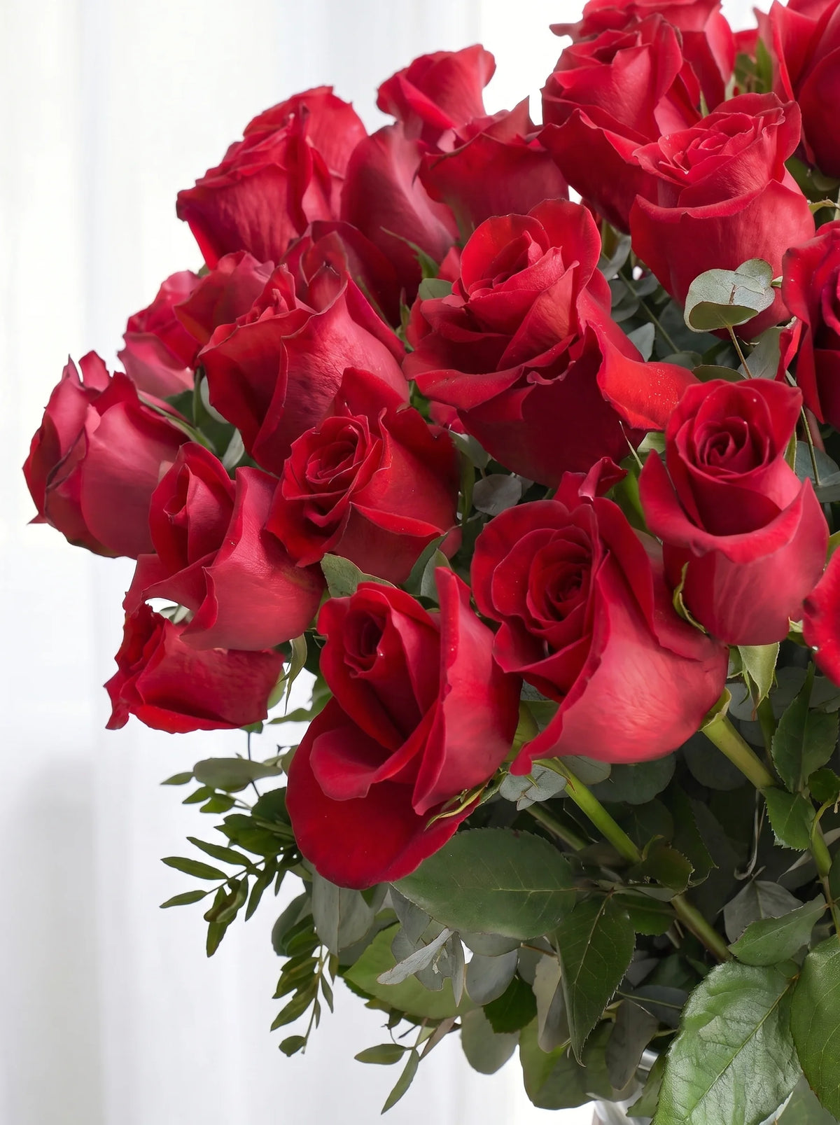 50 Long Stem Red Roses - Vase