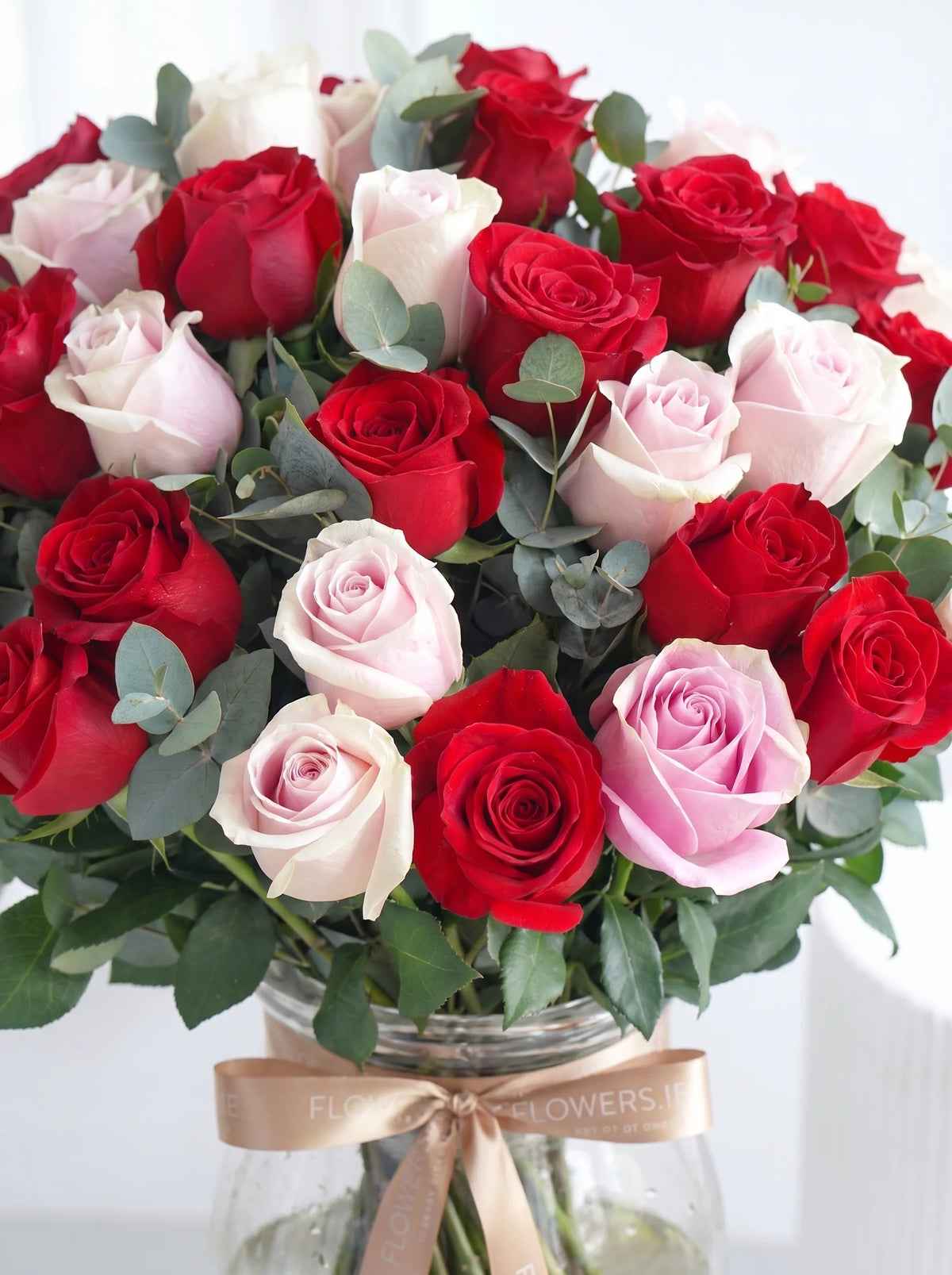 50 Luxury Red and Pink Roses - Vase