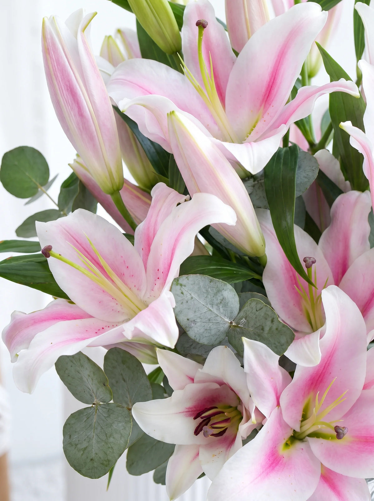Pink Scented Lily - Vase