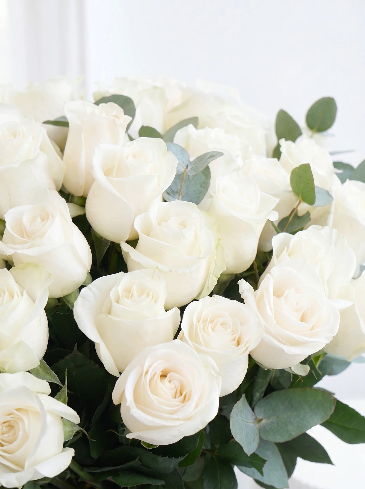 50 Long Stem White Roses - Vase