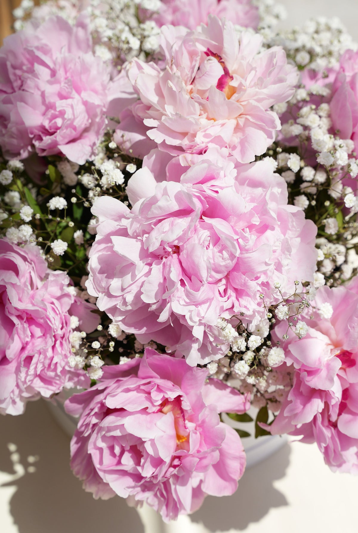 Luxury Pink Peony - Hatbox