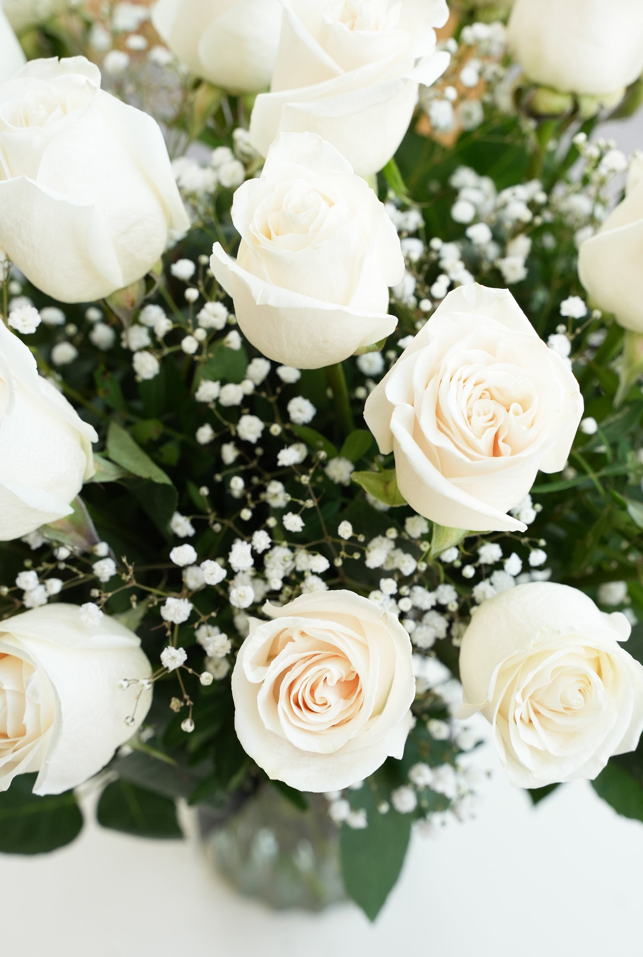 Symphathy Roses 12 White Roses - vase | Sympathy Flowers– Flowers.ie