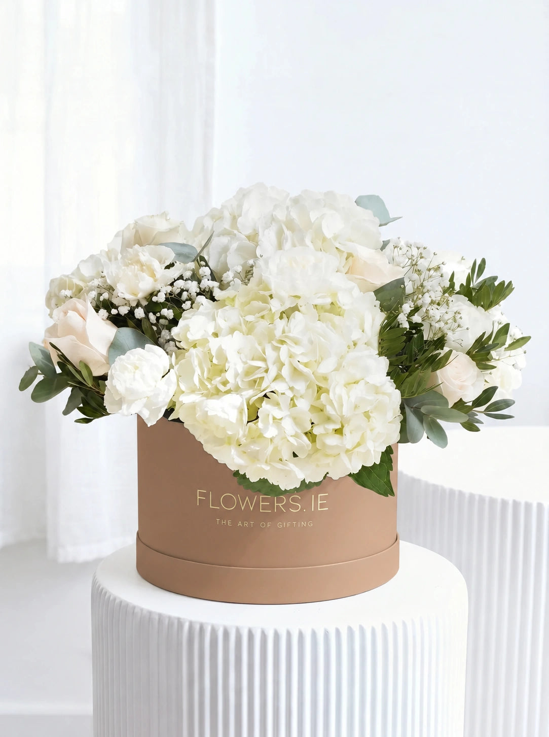 Perfect White - Hatbox