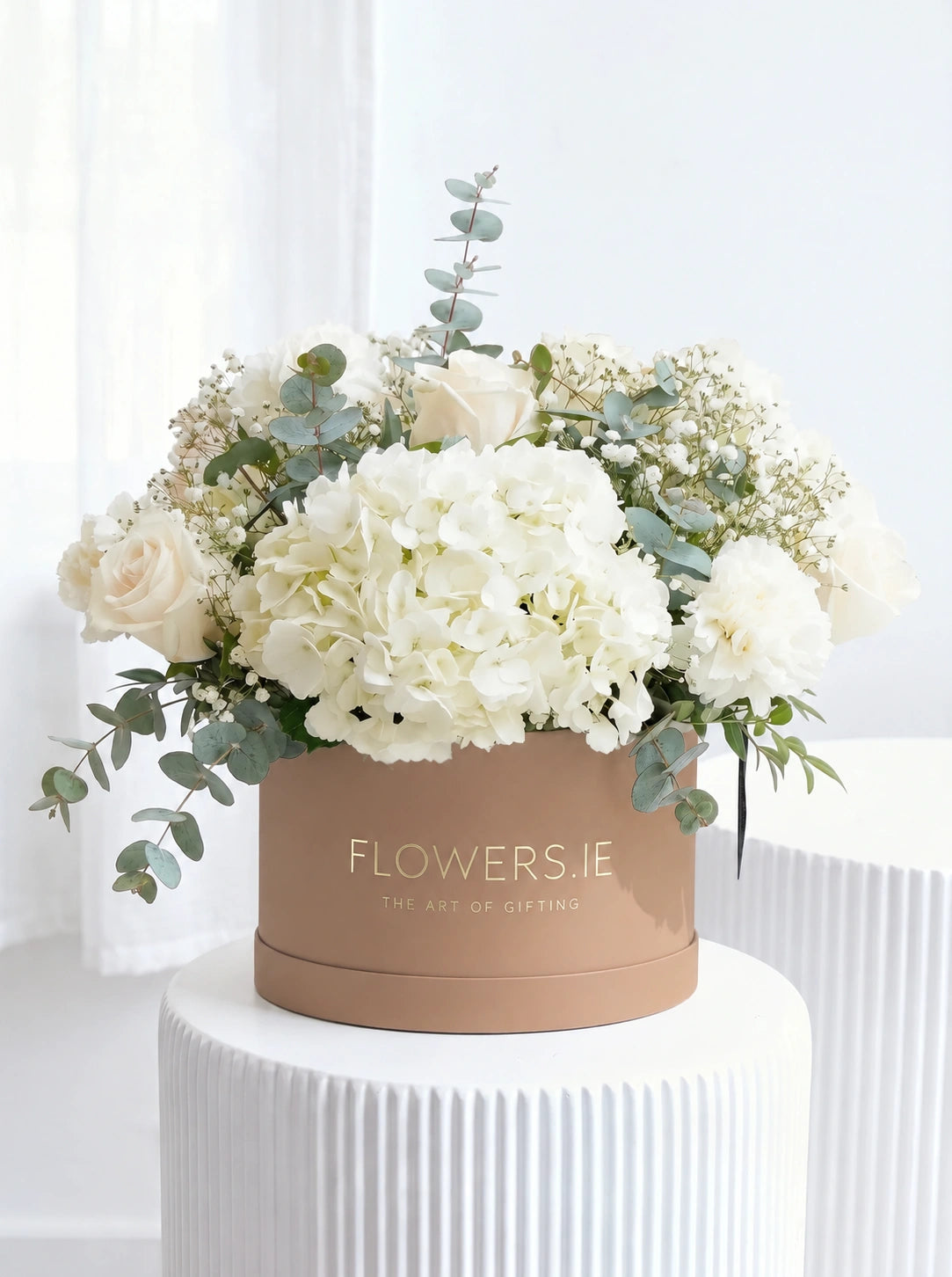 Perfect White - Hatbox