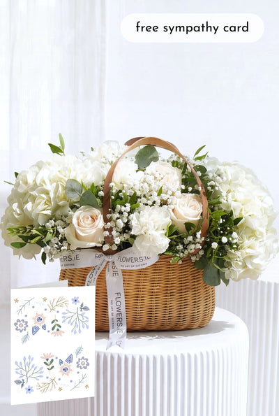 Sympathy Perfect White - Basket