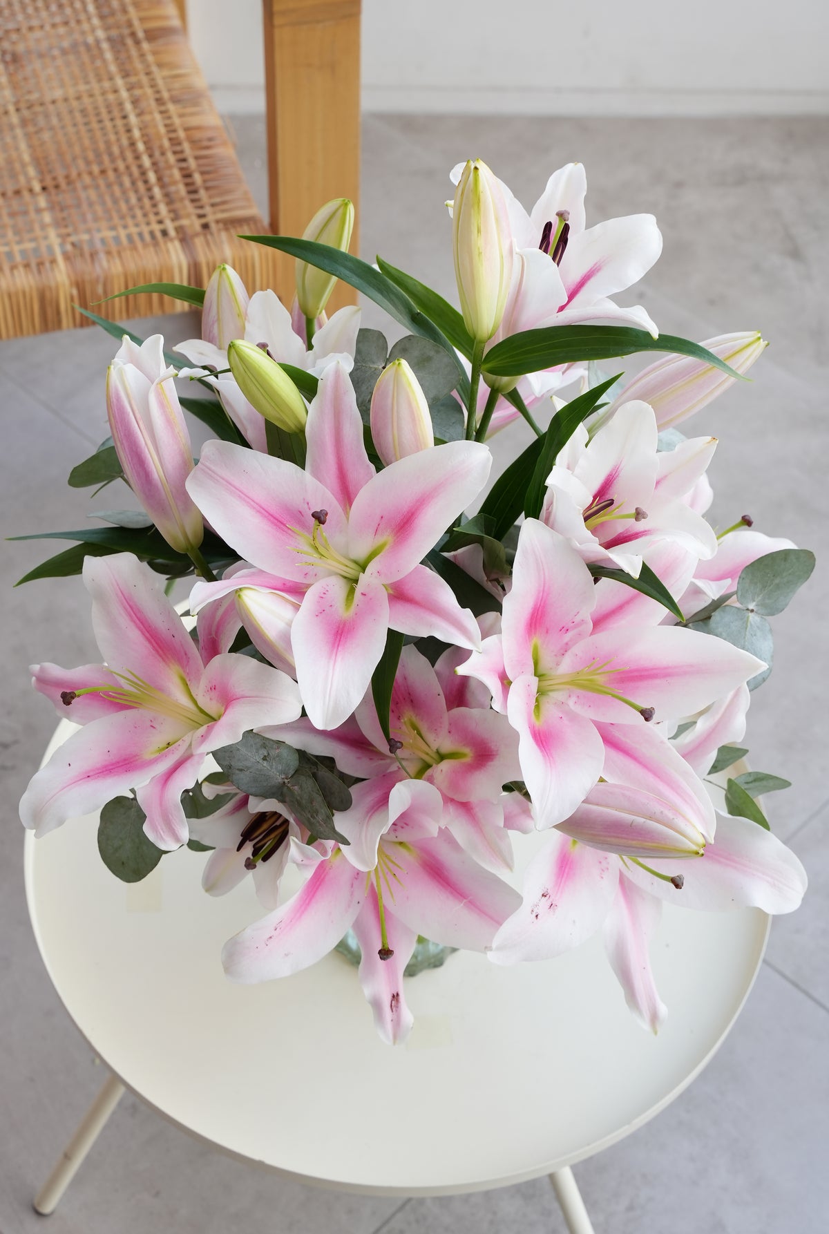 Pink Scented Lily in a Vase