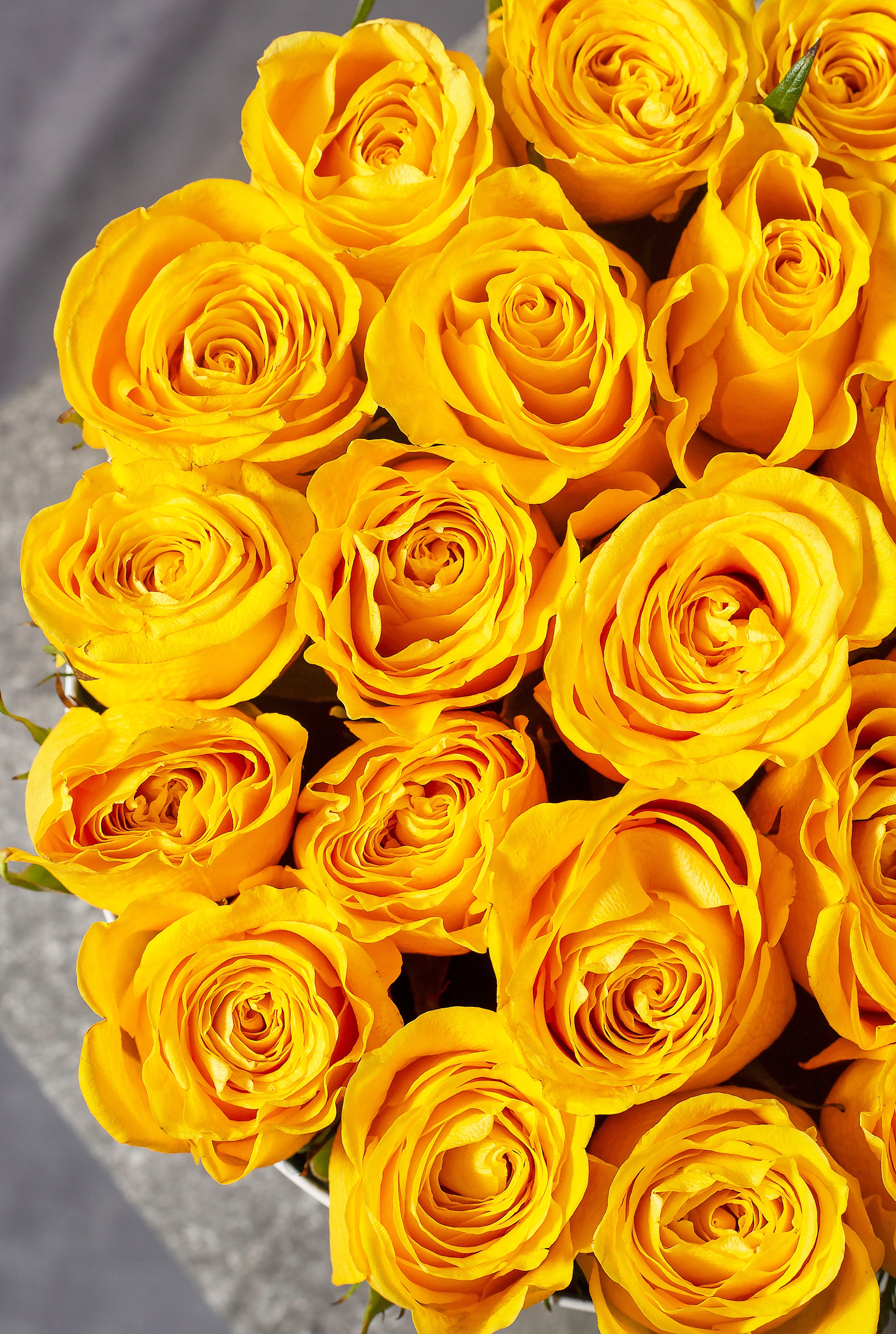 Yellow Rose Hatbox Flowers Ie