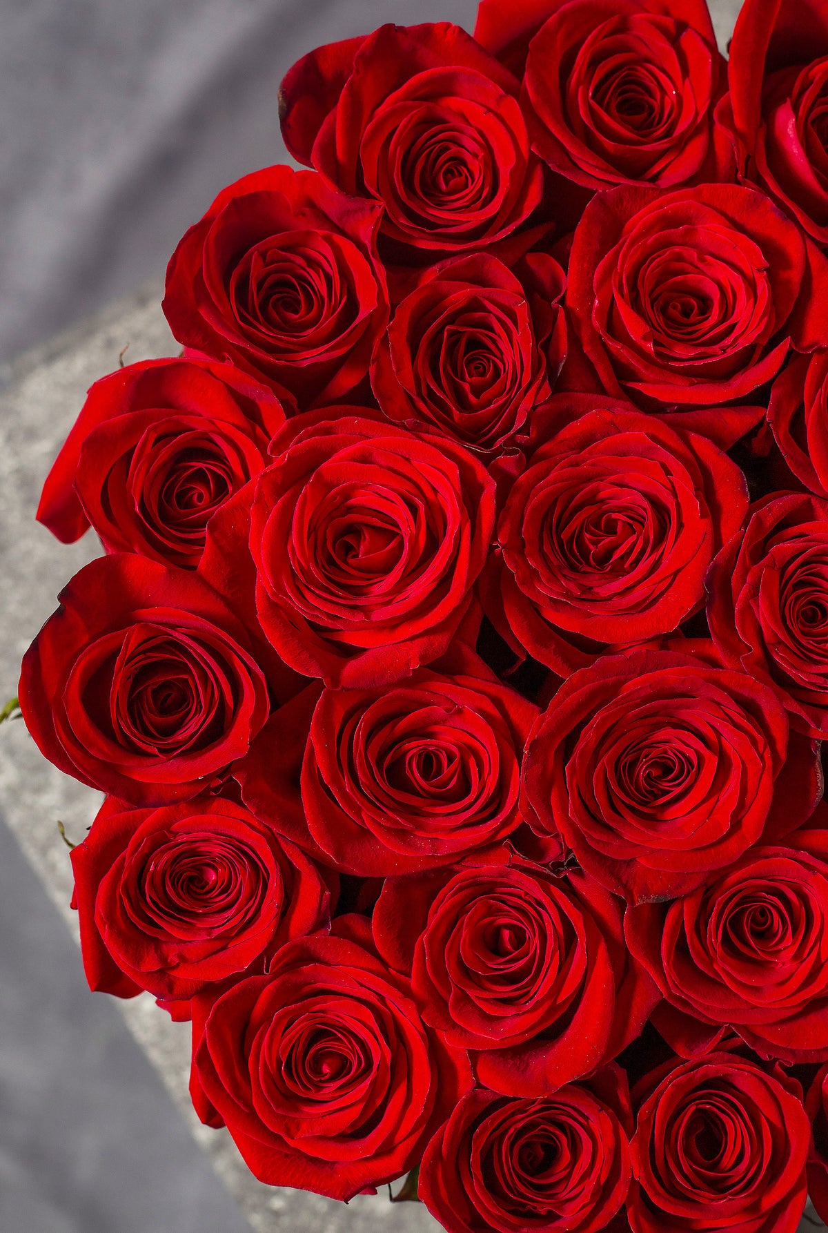Red Rose - Hatbox