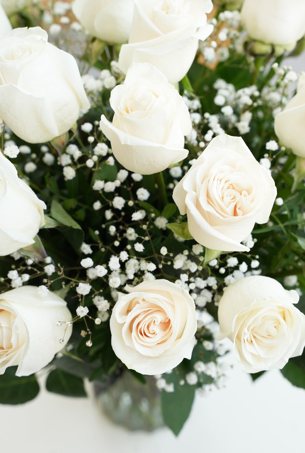 12 Long Stem White Roses - vase